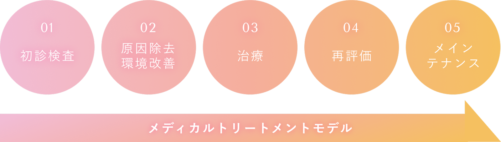 01.初診検査　02.原因除去環境改善　03.治療　04.再評価　05.メインテナンス　メディカルトリートメントモデル